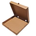 Pizza Kargo Kutusu 10 Adet 31 x 30 x 4 cm