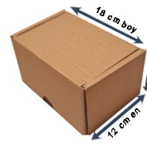 Mini Kraft Kargo Kutusu