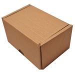 Mini Kraft Kargo Kutusu 30 18x12x9.5 cm