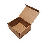 Kraft Kargo Kutusu (200×160×95 mm)