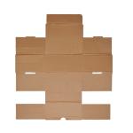 Kraft Kargo Kutusu (200×160×95 mm)