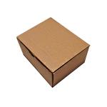 Kraft Kargo Kutusu (200×160×95 mm)